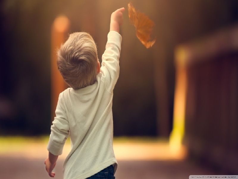 第十二次产检（37周）